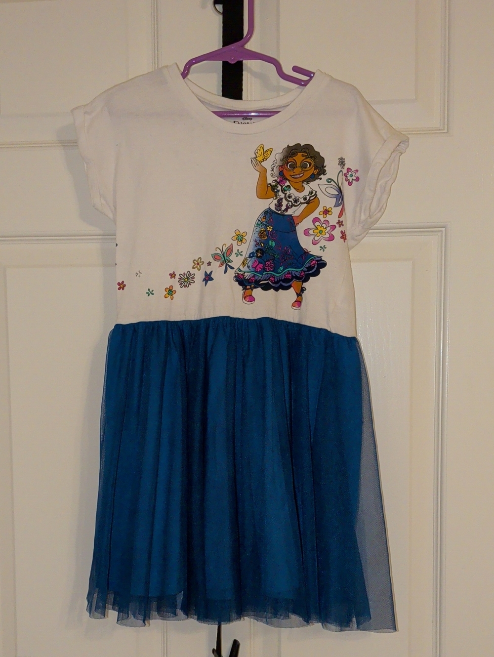 Disney Encanto White & Blue Floral Character Tulle Dress